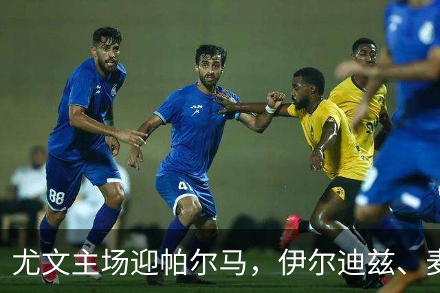 尤文主场迎帕尔马，伊尔迪兹、麦肯尼等四将缺阵
