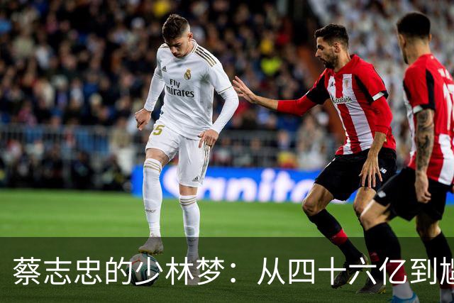 蔡志忠的少林梦：从四十六亿到尴尬的归宿